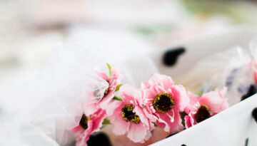 brand photography style - branding images