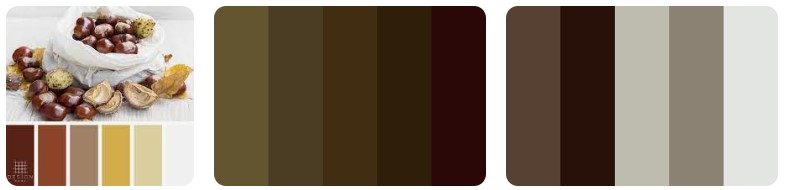 Chestnut Color Palettes