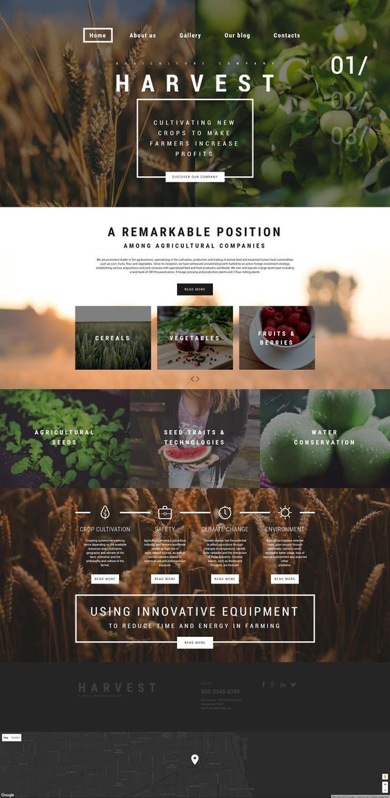 Earthy brand board example