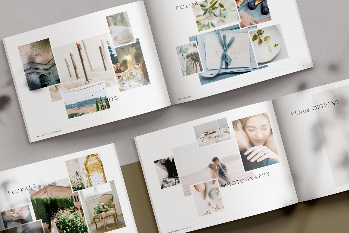 What is Brand Anatomy? Its Major Elements 1 Anatomy brand board by Made for Creatives