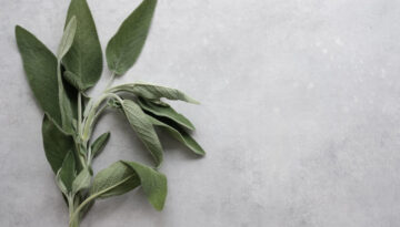 Sage green color