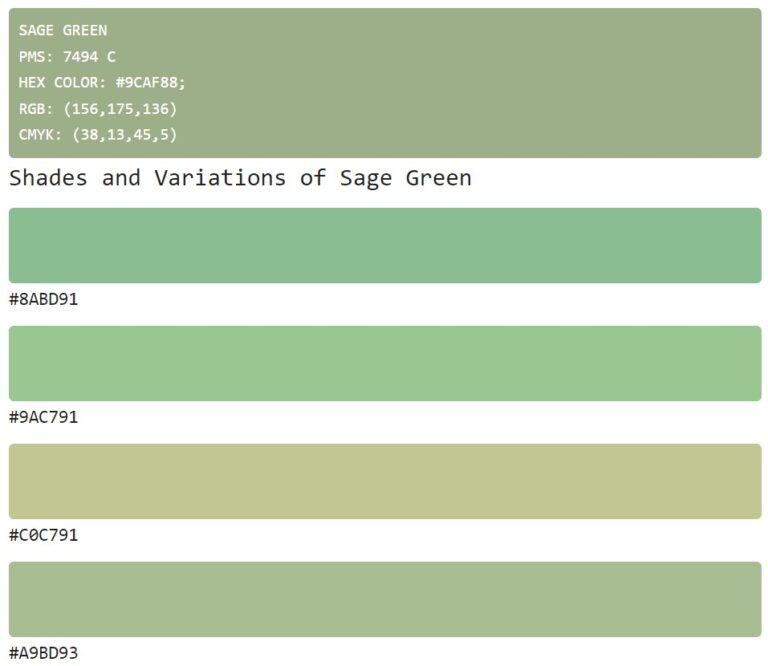 All About Sage Green Color - Silber Consulting