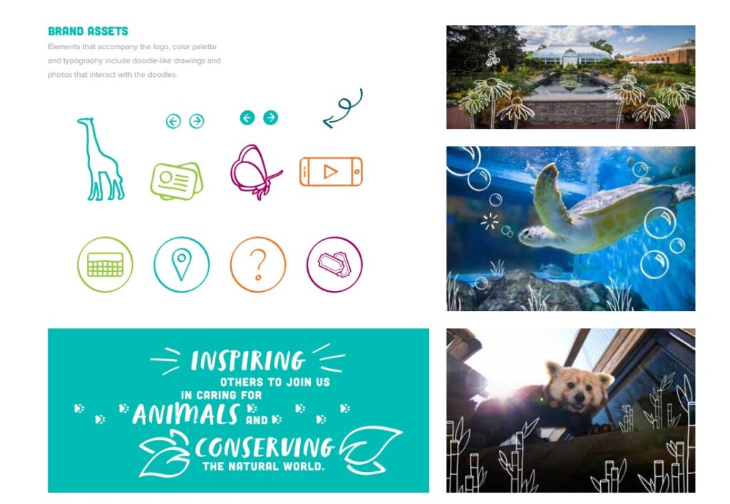 Toledo Zoo style guide and brand assets