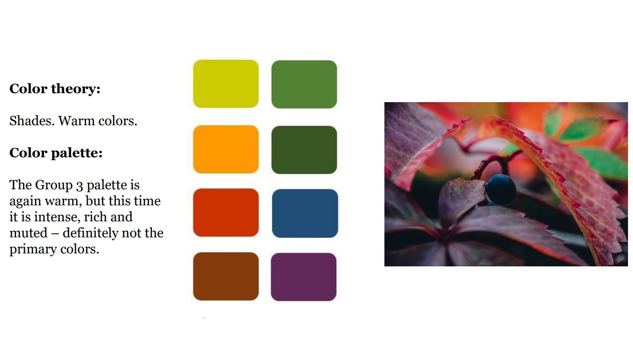 Colors for - how to brand a winery