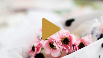 How To Create A Feminine Brand?