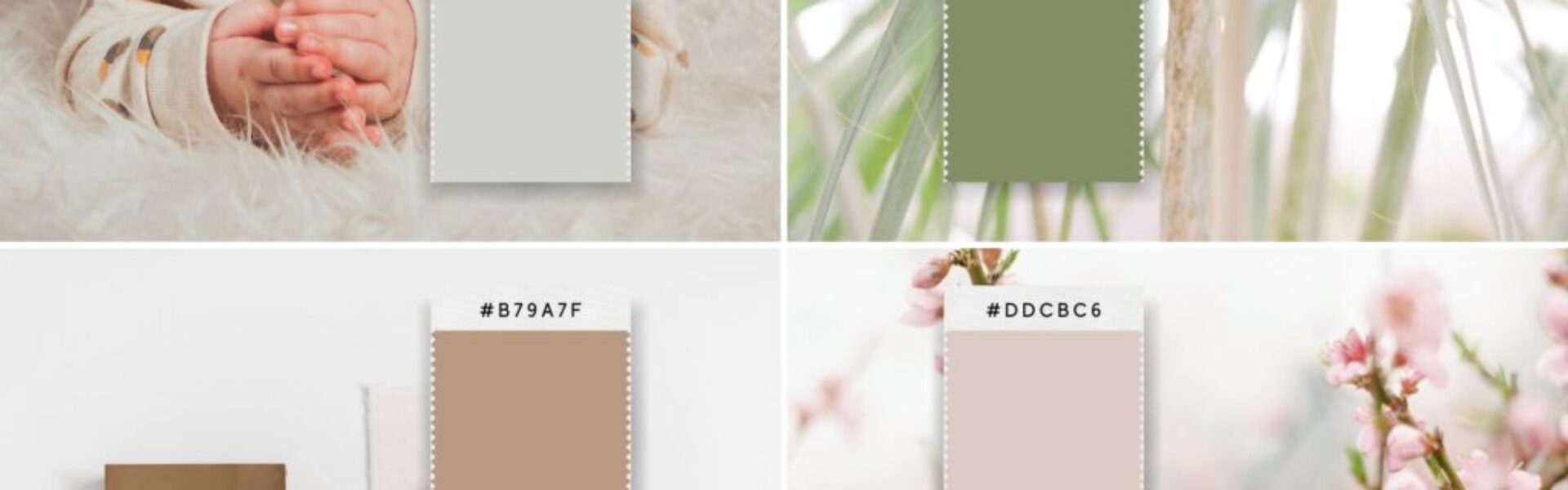 color psychology vibe in design and branding