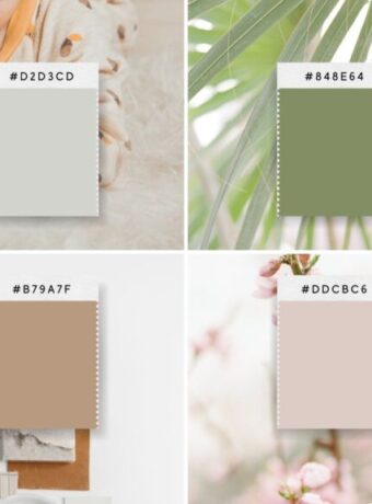 color psychology vibe in design and branding