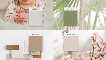 color psychology vibe in design and branding