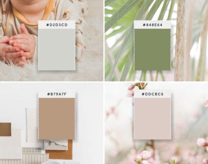 color psychology vibe in design and branding